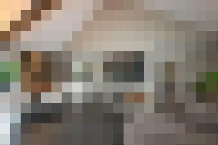 Bachlaan 5 Almelo thumbnail 9