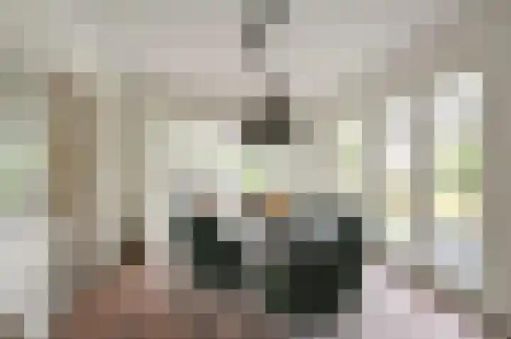 Bachlaan 5 Huizen thumbnail 12
