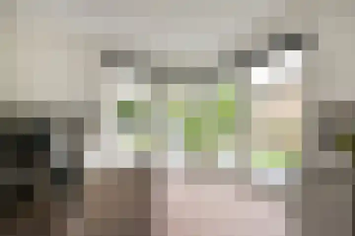 Bachlaan 5 Huizen thumbnail 13