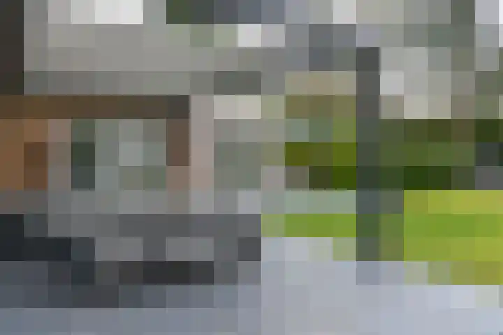 Bachlaan 5 Huizen thumbnail 15
