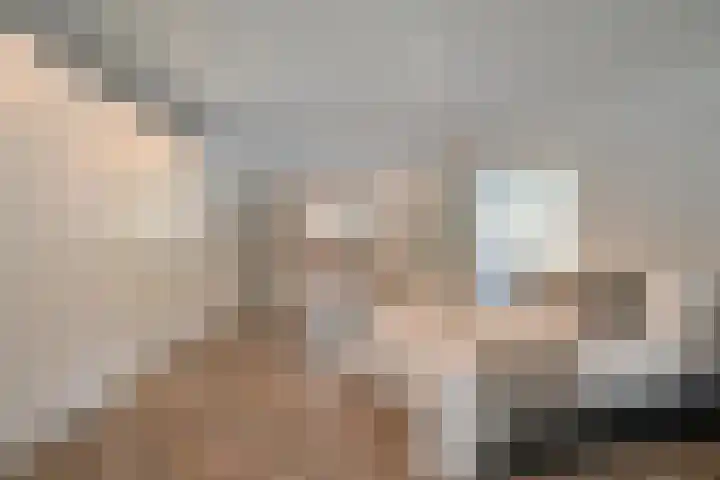 Bachlaan 5 Huizen thumbnail 20
