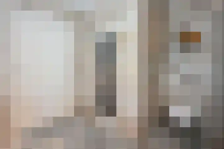 Bachlaan 5 Huizen thumbnail 24