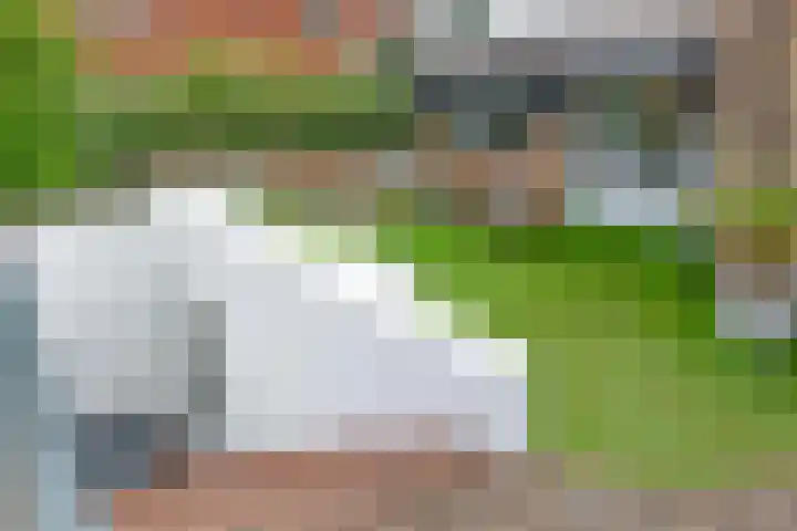 Bachlaan 5 Huizen thumbnail 27