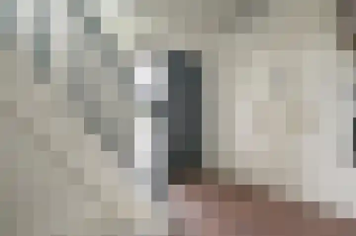 Bachlaan 5 Huizen thumbnail 31