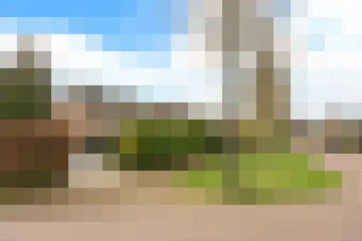 Bachlaan 5 Huizen thumbnail 4
