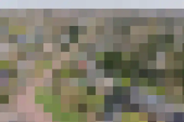 Bachlaan 5 Huizen thumbnail 42