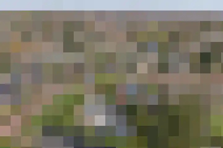 Bachlaan 5 Huizen thumbnail 45