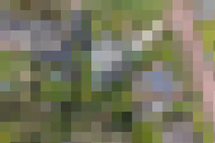 Bachlaan 5 Huizen thumbnail 46