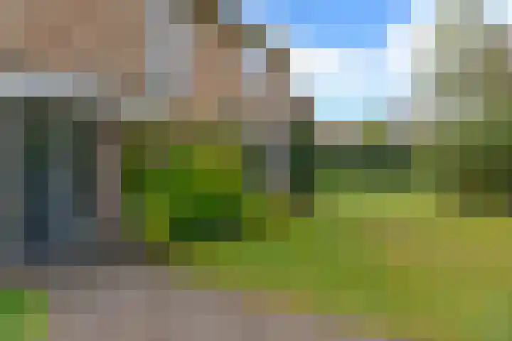 Bachlaan 5 Huizen thumbnail 6