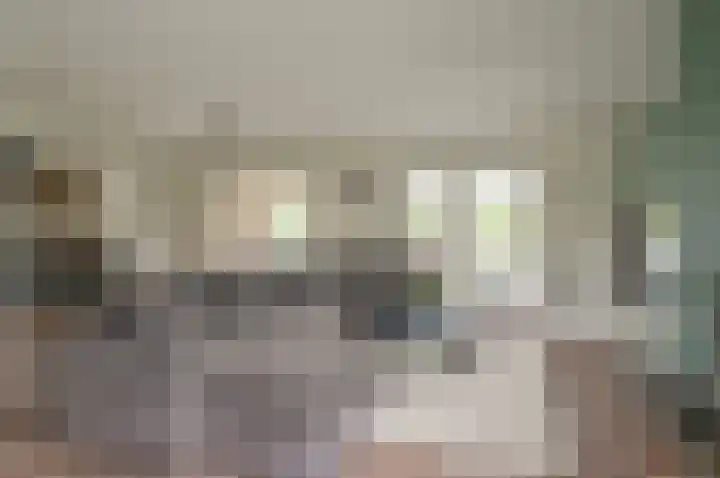 Bachlaan 5 Huizen thumbnail 7