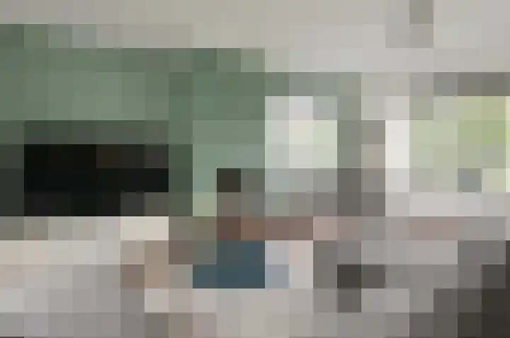 Bachlaan 5 Huizen thumbnail 8