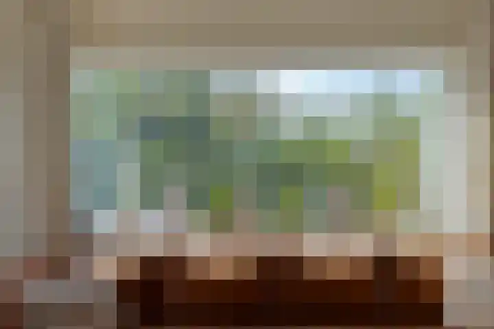 Bachlaan 56 Goes thumbnail 12