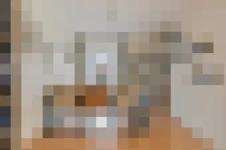 Bachlaan 56 Goes thumbnail 14