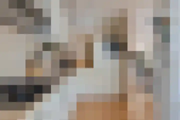 Bachlaan 56 Goes thumbnail 16