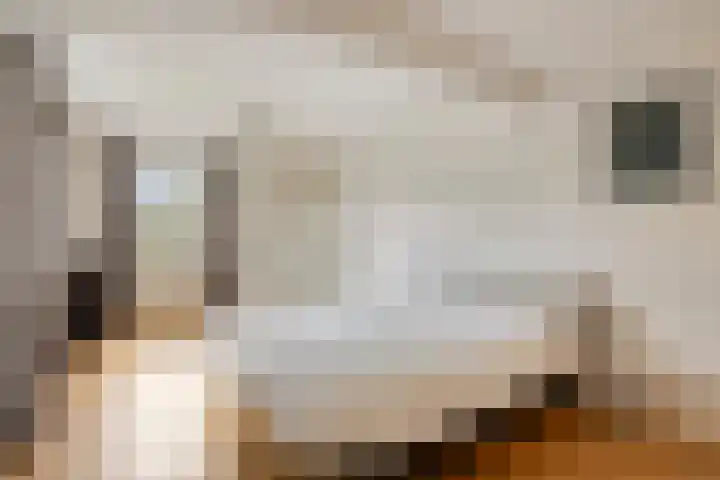 Bachlaan 56 Goes thumbnail 24