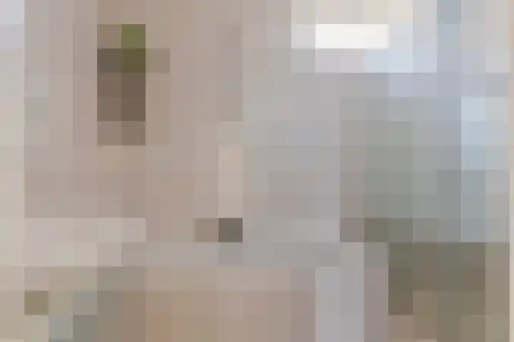 Bachlaan 56 Goes thumbnail 24