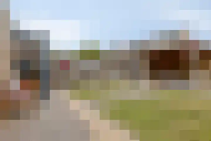 Bachlaan 56 Goes thumbnail 30