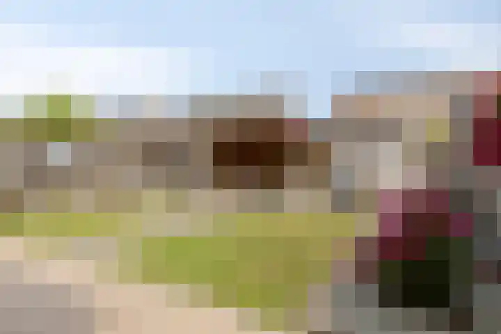 Bachlaan 56 Goes thumbnail 31