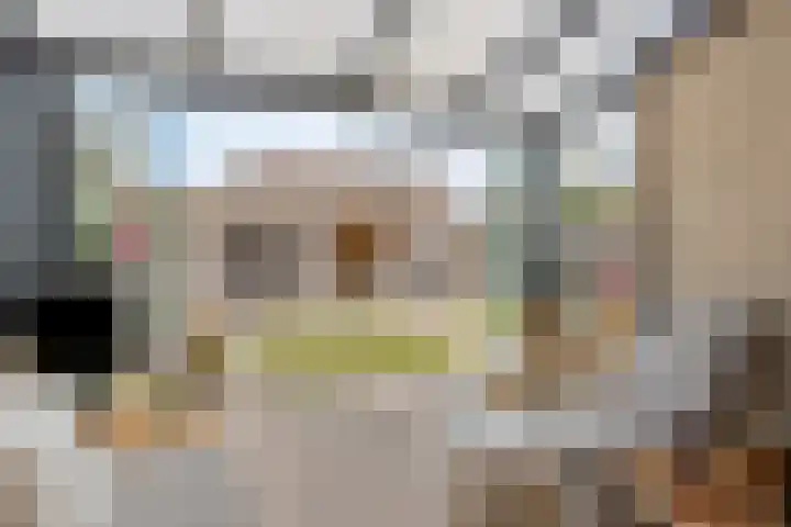 Bachlaan 56 Goes thumbnail 37
