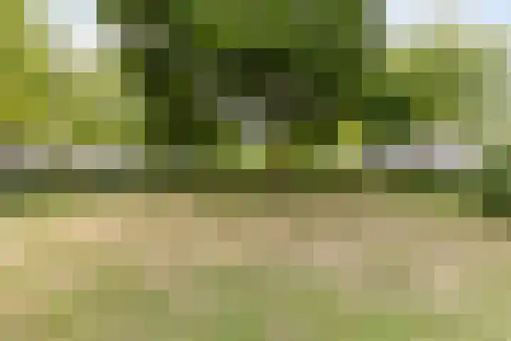 Bachlaan 56 Goes thumbnail 41