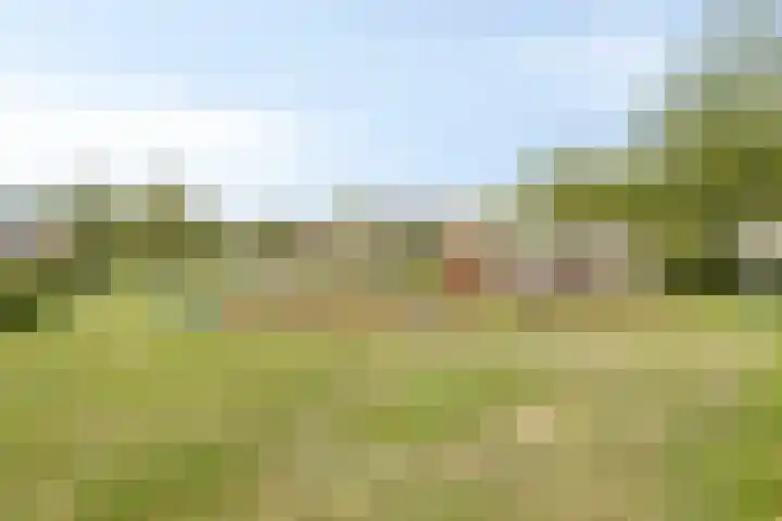 Bachlaan 56 Goes thumbnail 42
