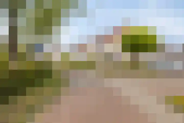Bachlaan 56 Goes thumbnail 43