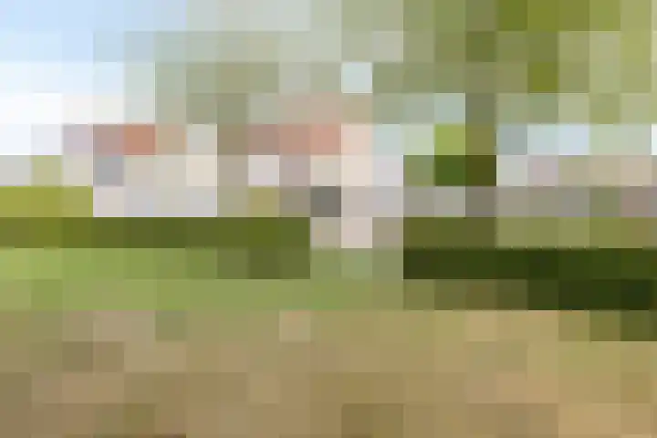 Bachlaan 56 Goes thumbnail 45