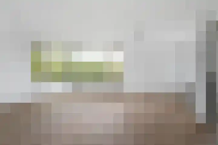 Bachlaan 56 Goes thumbnail 46