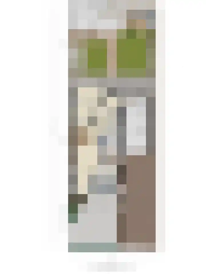 Bachlaan 56 Goes thumbnail 46