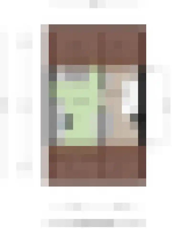 Bachlaan 56 Goes thumbnail 49