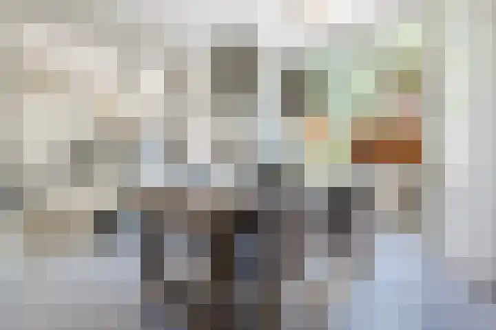 Bachlaan 6 Culemborg thumbnail 10