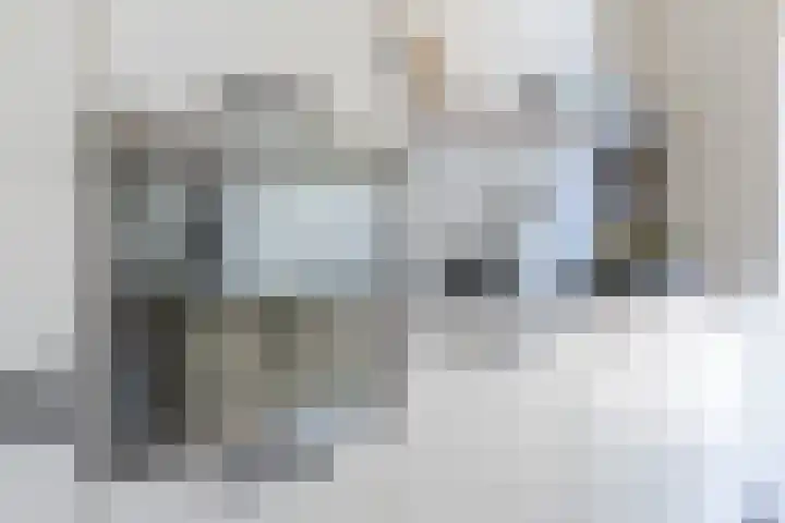 Bachlaan 6 Culemborg thumbnail 13