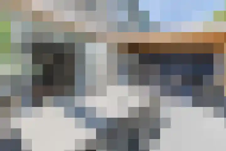 Bachlaan 6 Culemborg thumbnail 15