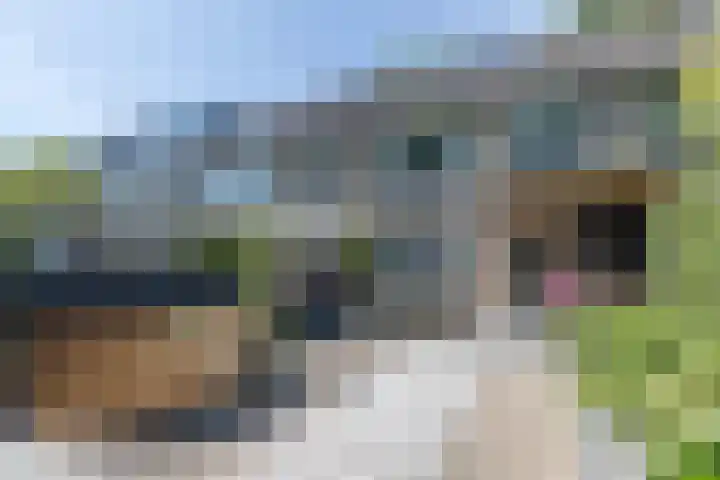 Bachlaan 6 Culemborg thumbnail 17
