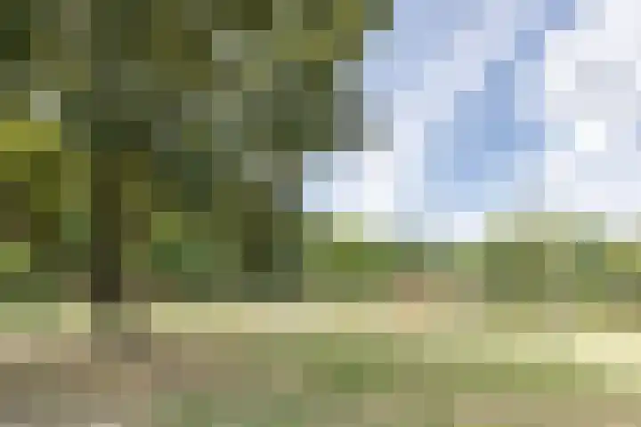 Bachlaan 6 Culemborg thumbnail 34