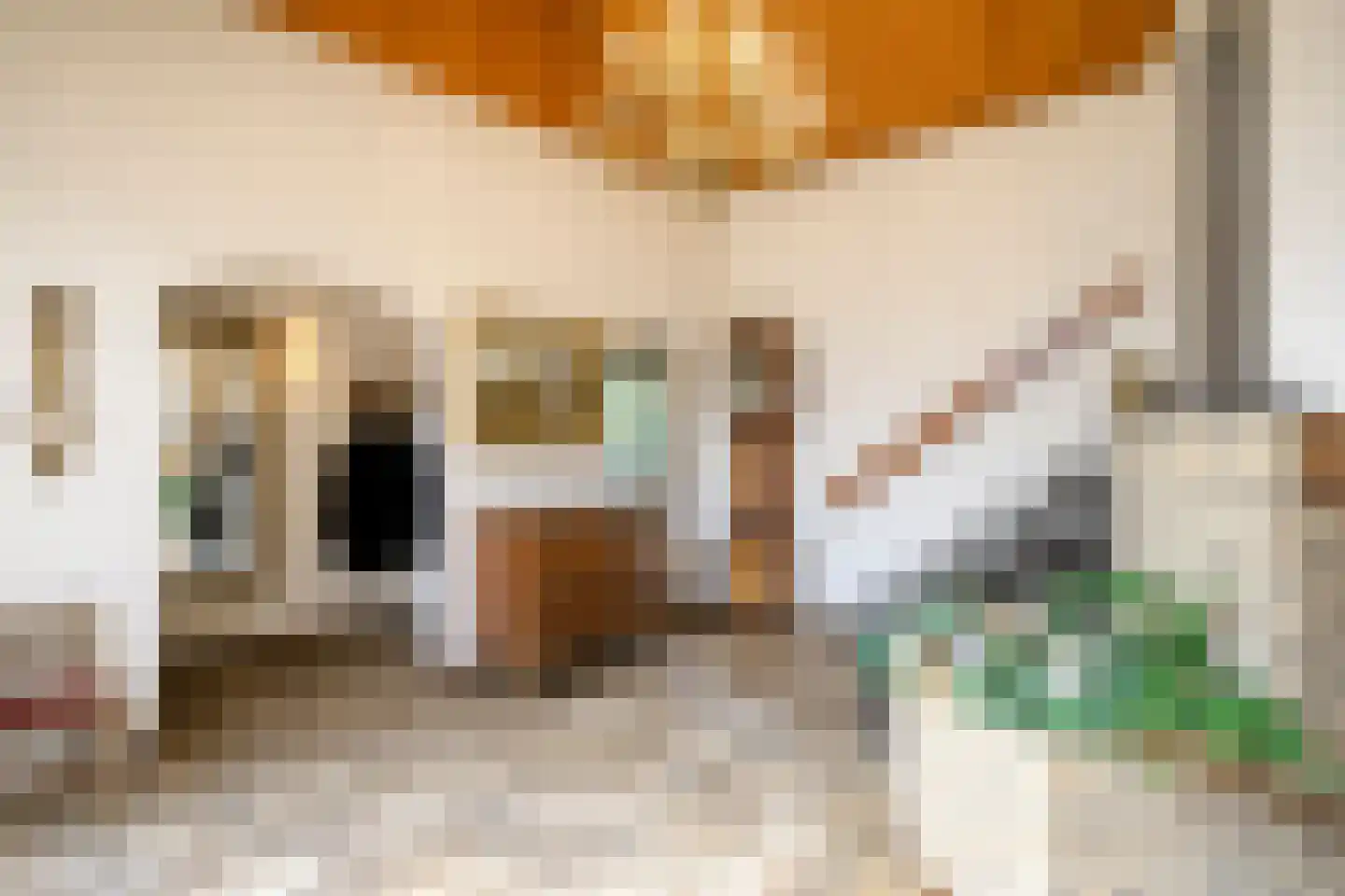 Bachlaan 6 Oss thumbnail 22