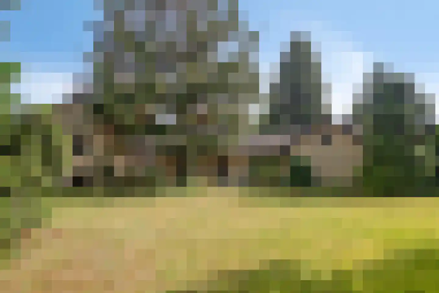 Bachlaan 6 Oss thumbnail 28