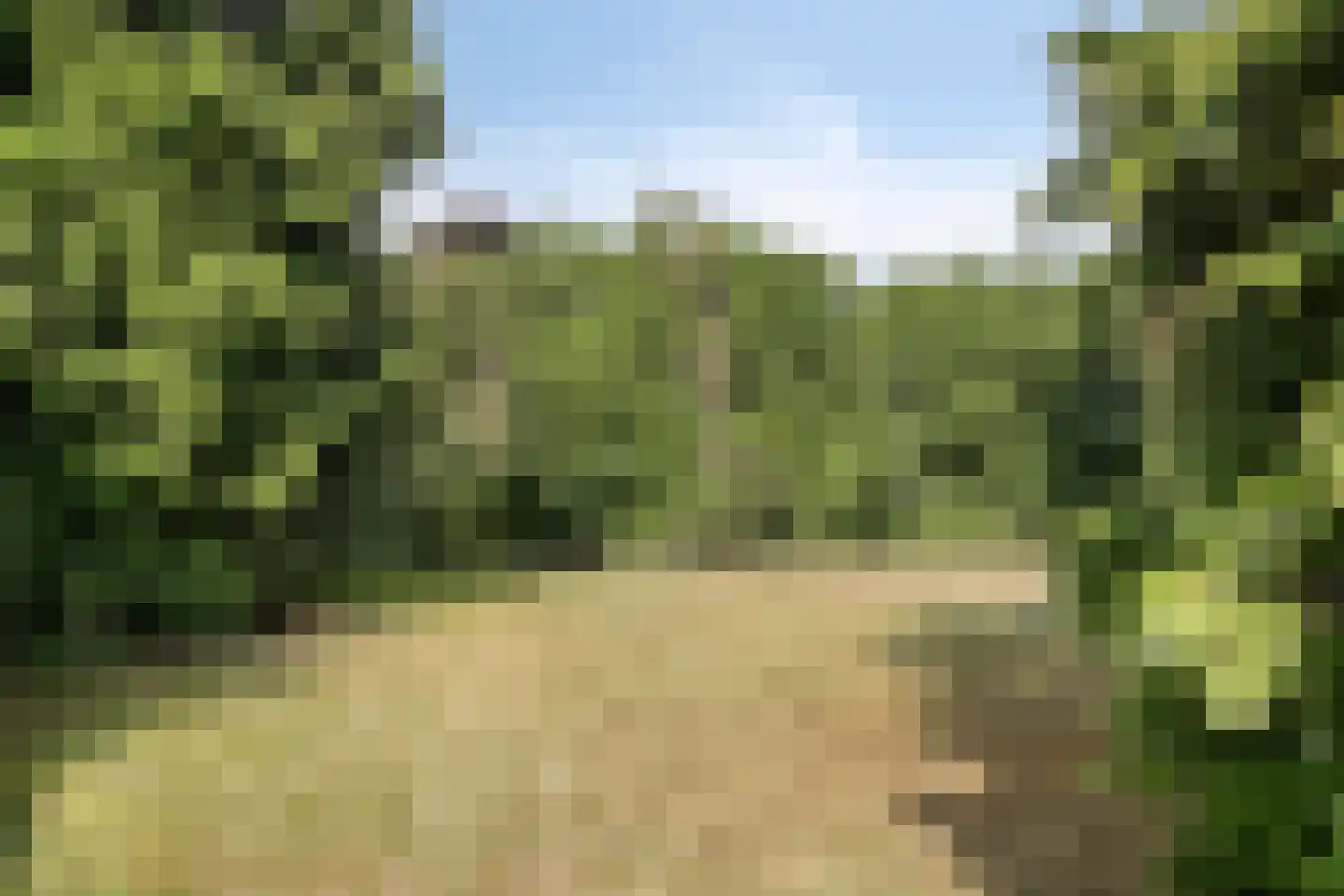 Bachlaan 6 Oss thumbnail 32