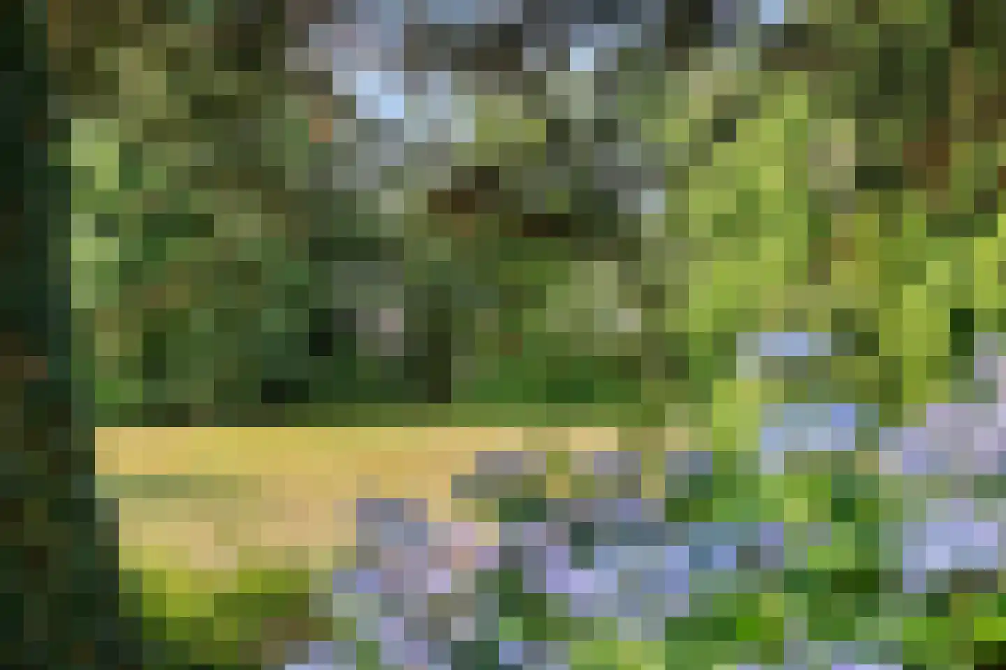 Bachlaan 6 Oss thumbnail 33