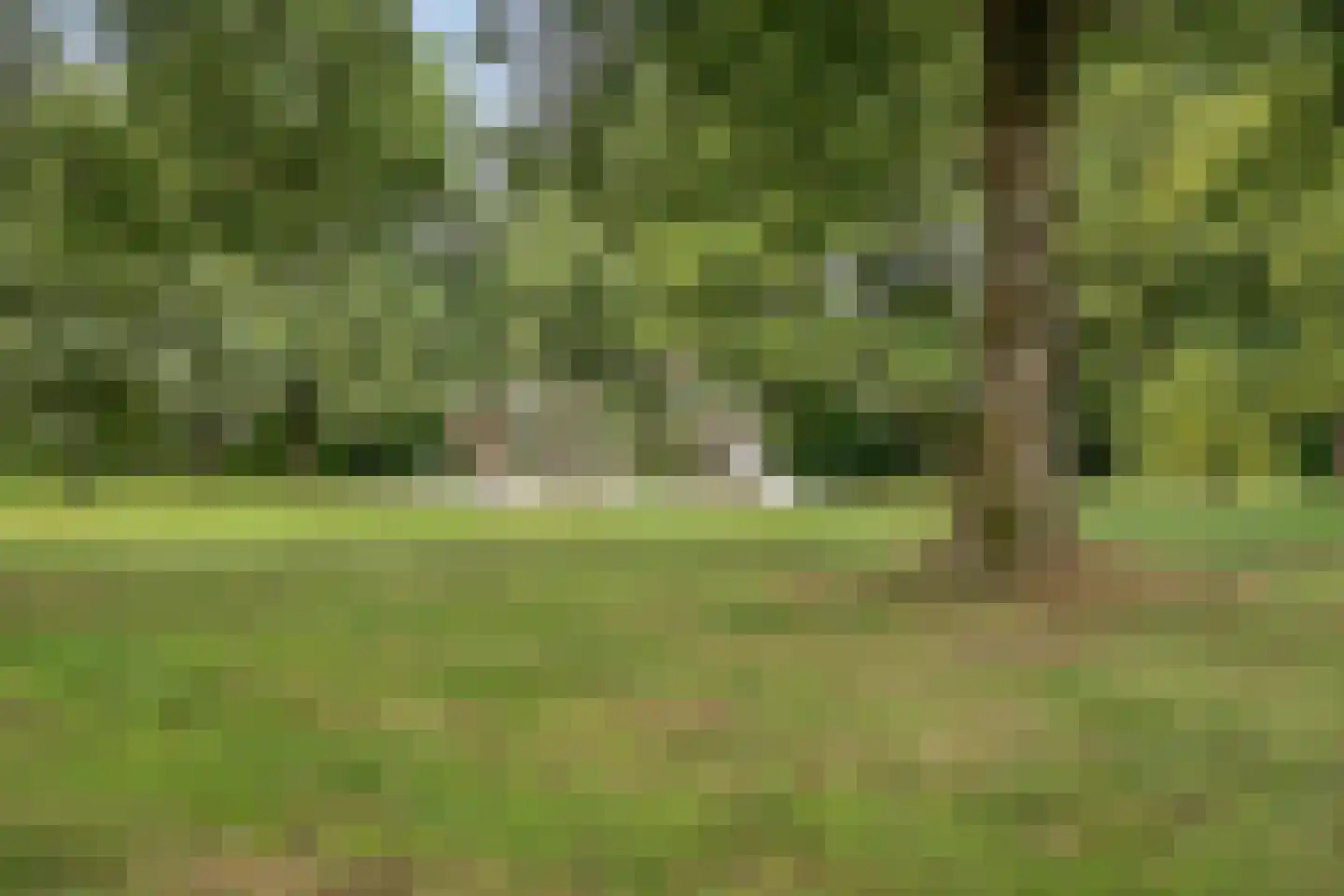 Bachlaan 6 Oss thumbnail 38