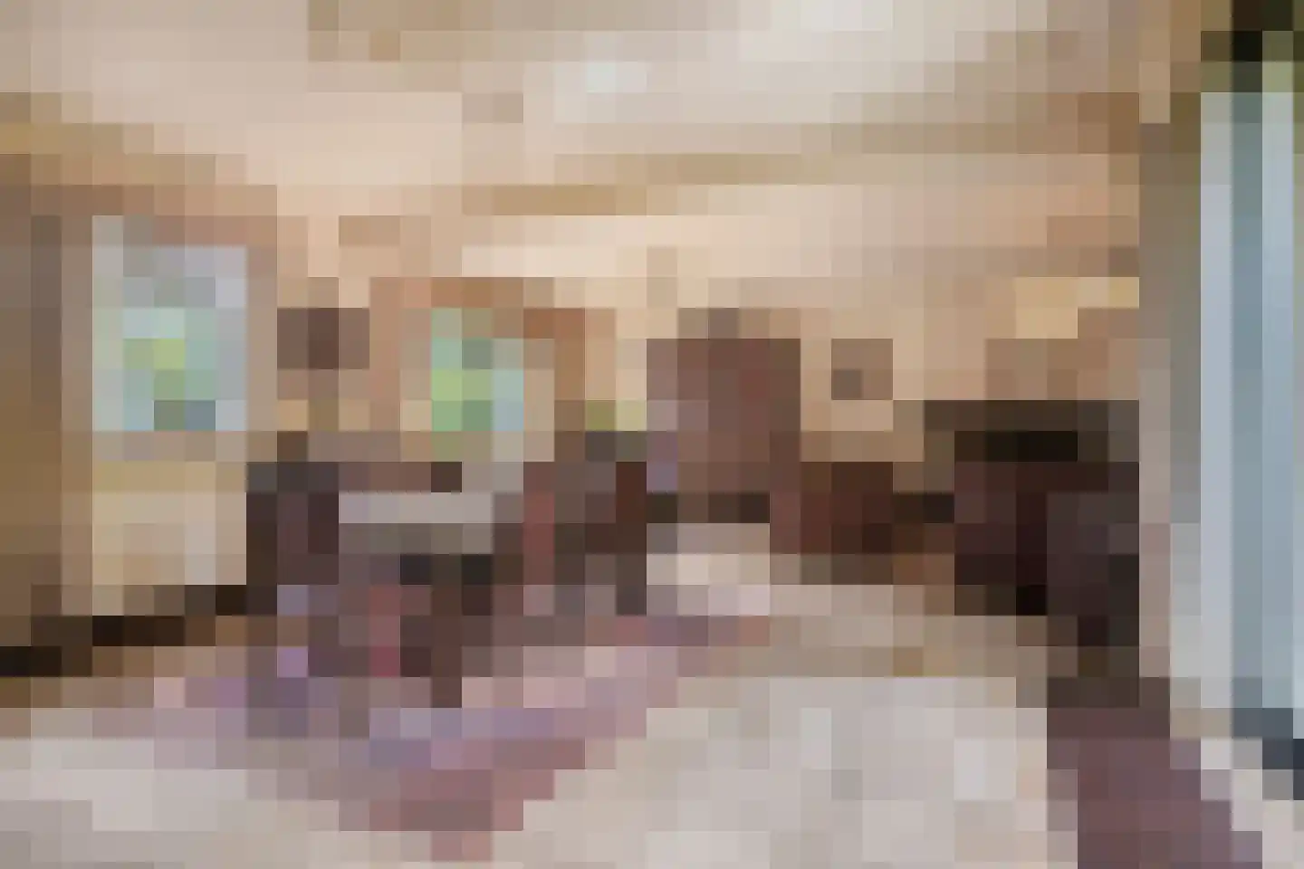 Bachlaan 6 Oss thumbnail 6