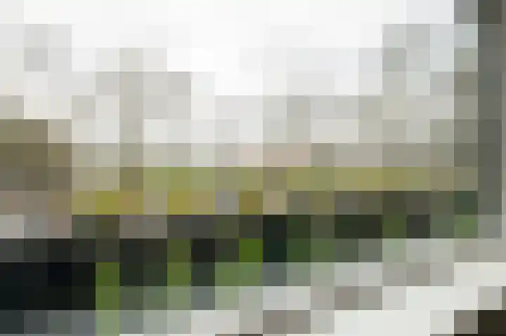 Bachlaan 68 Culemborg thumbnail 35