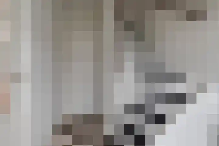 Bachlaan 68 Culemborg thumbnail 6