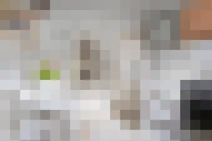 Bachlaan 9 Bilthoven thumbnail 18