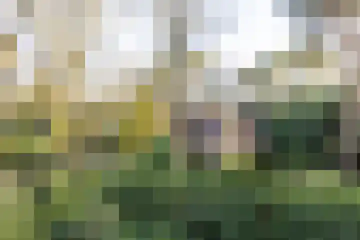 Bachlaan 9 Bilthoven thumbnail 34