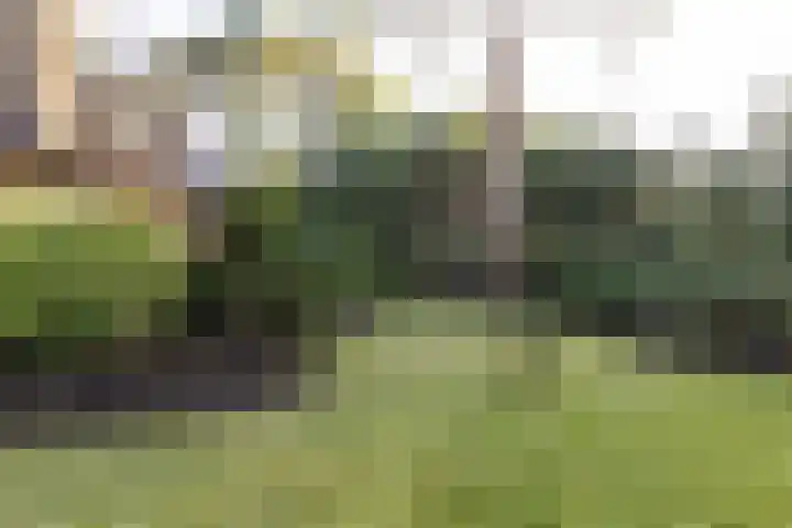 Bachlaan 9 Bilthoven thumbnail 38
