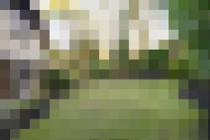 Bachlaan 9 Bilthoven thumbnail 40
