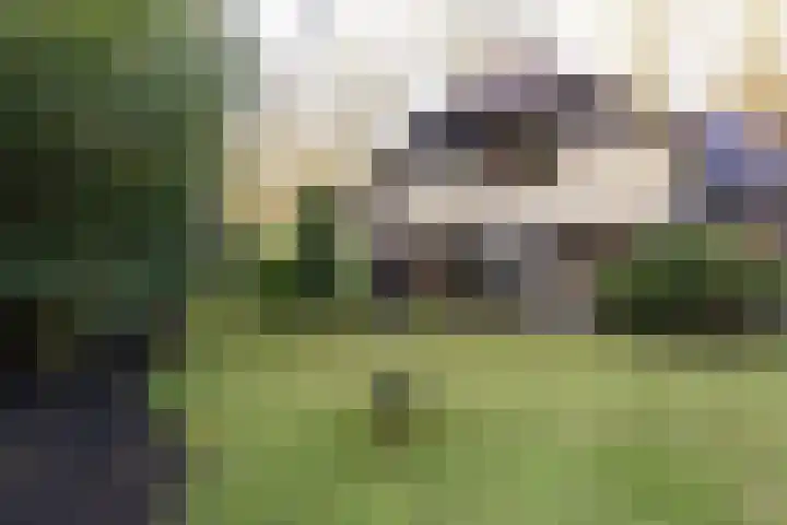 Bachlaan 9 Bilthoven thumbnail 45