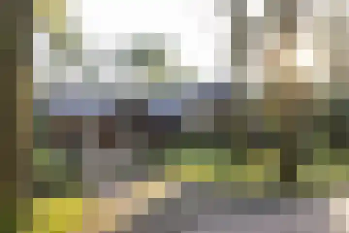 Bachlaan 9 Bilthoven thumbnail 49