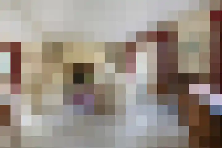 Bachlaan 9 Bilthoven thumbnail 5